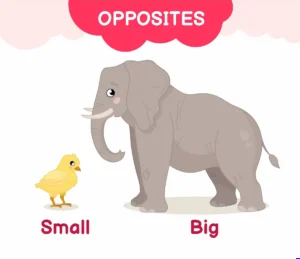 opposite words